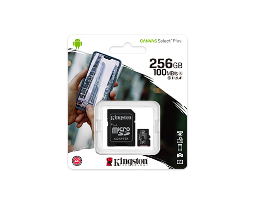 Micro memoria Kingston de 256GB C10 100MB/s (SDCS2/256GB)